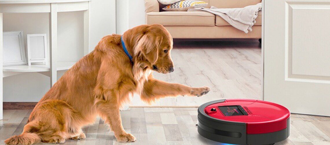 siurblys robotas su naminiu gyvunu