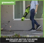 2405007-Pustuvas-2X24V-GD24X2AB-tik-įrankis-Greenworks-2