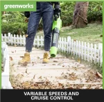 2405007-Pustuvas-2X24V-GD24X2AB-tik-įrankis-Greenworks-6