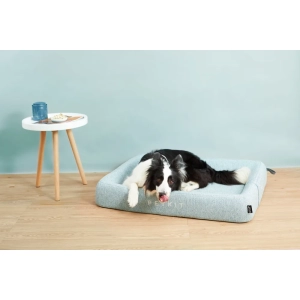 448708-Guolis-PETKIT-P7110-S-S-žalias-3