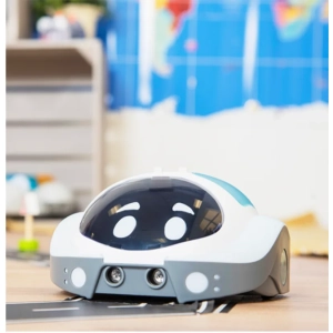 IT10415-Robotas-Loti-Bot-5