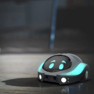 IT10415-Robotas-Loti-Bot-6