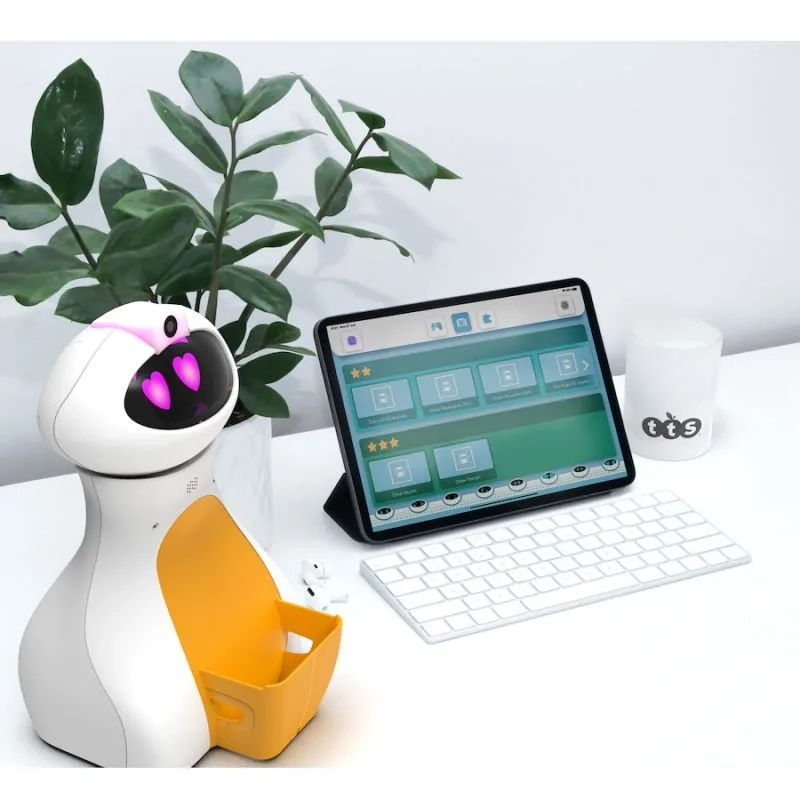 IT10420-Oti-Bot-priedų-rinkinys-2-vnt-2