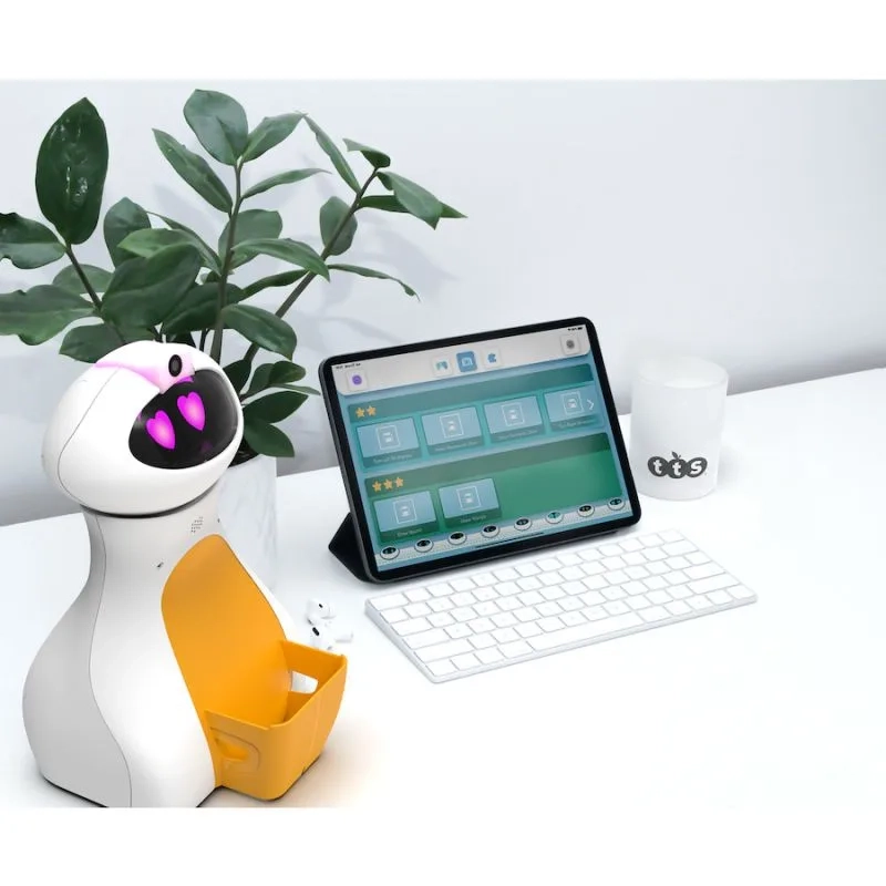 IT10422-Oti-Bot-pilvukas---krepšelis-2